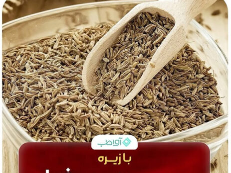 چربی سوزی حرفه ای با زیره