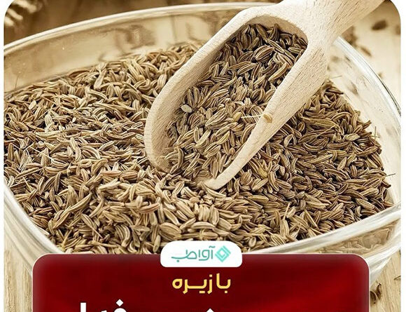 چربی سوزی حرفه ای با زیره